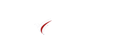 Virtual Airline Logo